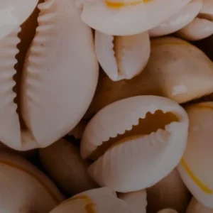 Baba Tadeu Produtos e Serviços - header single