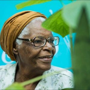 ESTRELA AZUL - MÃE STELLA - capa dica