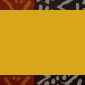 Fundo com destaque - Intro Blog